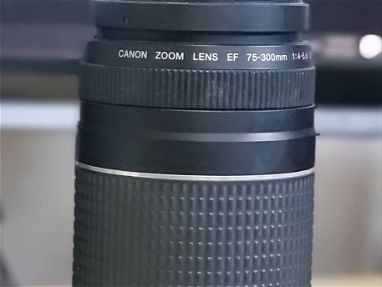 Canon EF 75-300 III - Img 67261410