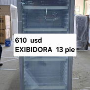 EXIBIDORA Milexus 13 pie - Img 57919132