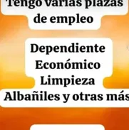Ofertas de trabajo - Img 50924558