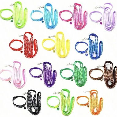Collares y correas para perros - Img 124167778