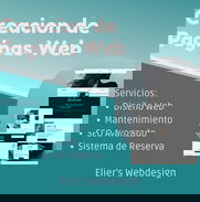Diseño de Paginas Web - Img 49719451