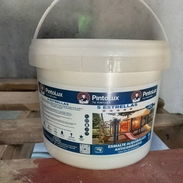 Pintura Esmalte _ Aceite PINTOLUX 4L - Img 55631618