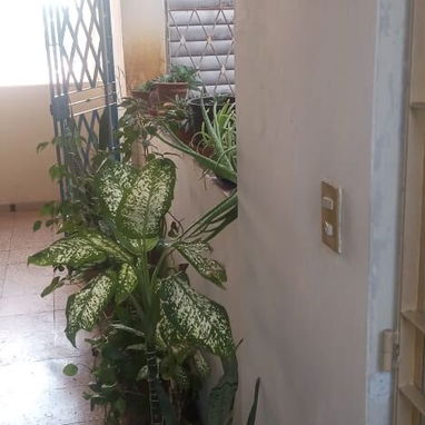 Alquiler de apartamento - 4/10