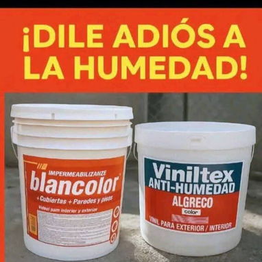 Cubetas de 10 litros y 20 litros de pintura - Img 119049883