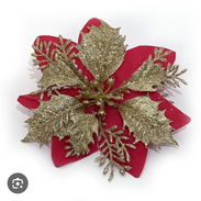 Flor de navidad - Img 58026825