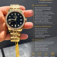 INVICTA - Img 55770120