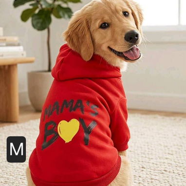 Ropa para mascotas para halloween - 9/10