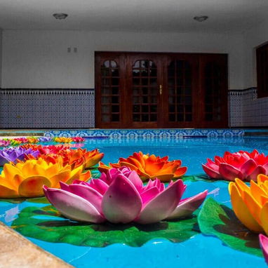 Casa con Piscina Climatizada en sú interior - Img 115416441