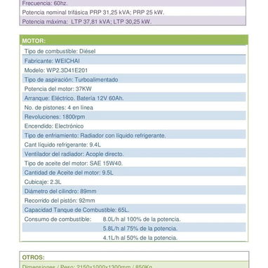 Grupo Electrógeno Trifásico de 25 kw - 2/2