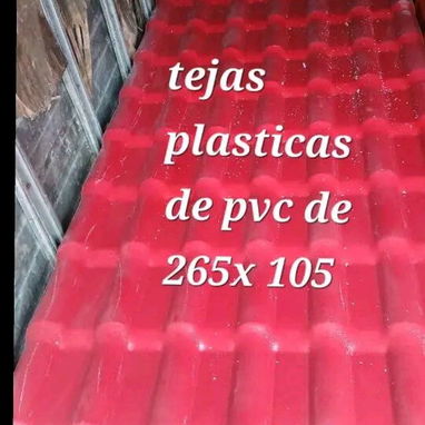 Tejas pláticas y garbanizadas - Img 122523647