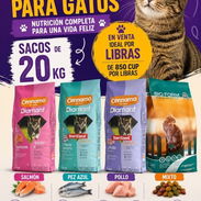 PIENSOS PARA GATOS DE LA MEJOR CALIDAD SABORES DE SALMÓN,PEZ AZUL ,POLLO Y MIXTO 850CUP LA LB - Img 55589536