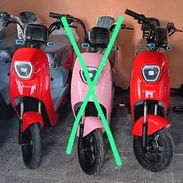 Bici moto - Img 55629305