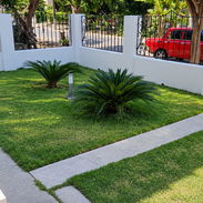 Se renta apt en el vedado , calle 21 entre e y f planta baja - Img 57319166