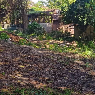 Alquiler de finca en Marianao - 3/10