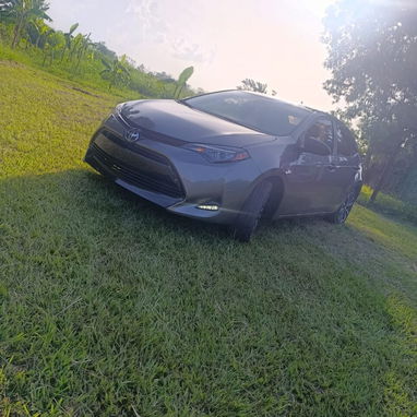 💥 Toyota Corolla SE 2019 - Img 125548041