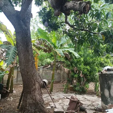 Se vende o se permuta para La Habana, leer hasta el final - 7/8