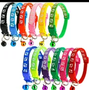 Collares para perros y gatos - Img 50548042