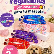 Collar Regulable para Mascotas - Img 58184383