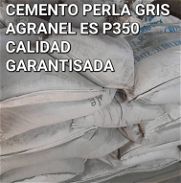 Cemento gris p350 - Img 45713571