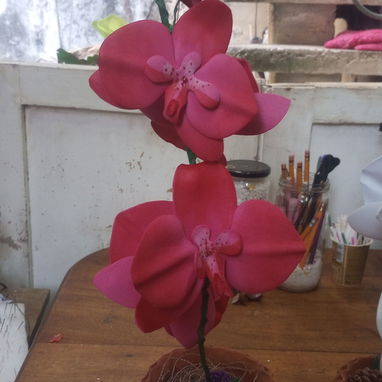 Flores - 5/5