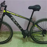 Bicicleta Rali Tierra 29 - Img 46016677