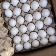 Huevos Blancos Precio 2060 cup Venta mínima 5 cajas de 12 cartones - Img 56087150