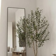 🚨🚨 Árbol de olivo 180 cm de altura ( no es artificial) - Img 56131278