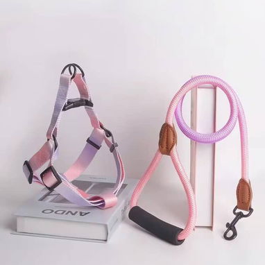 Correas con pecheras multicolores - 2/3