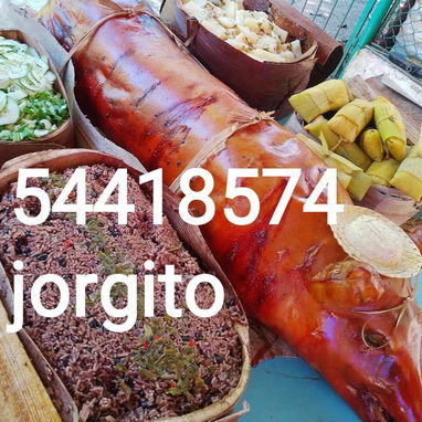 Cómodas criollas cenas criollas Cerdo asado piernas asadas cómoda a domicilio - 7/7
