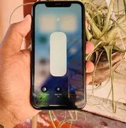 iPhone XR - Img 50501321