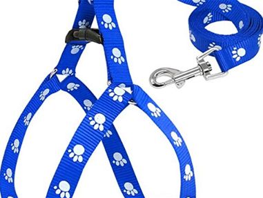 Correas azules para perritos pequeños y medianos 😍 - Img main-image-45555451