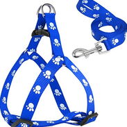 Correas azules para perritos pequeños y medianos 😍 - Img 45555451