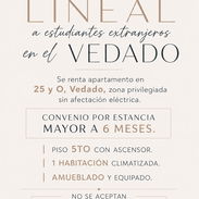 Renta lineal para extranjeros - Img 56611346