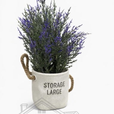 Maceta con planta minimalista lavanda - Img 121651613