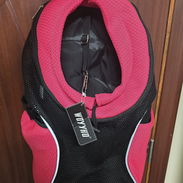 Mochila para mascotas - Img 58002195