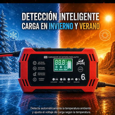 Cargador de baterias 12V 6A - 8/9