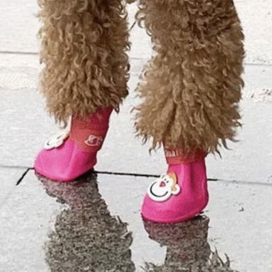 Zapatos de goma impermeable para mascotas Protéjala del calor del suelo y el agua en tiempos de lluvia! Calidad de vida! - Img 124260434