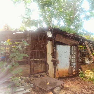 Venta de casa en el campo con vaste tierras(1 hectaria) papeles en regla - Img 123477286