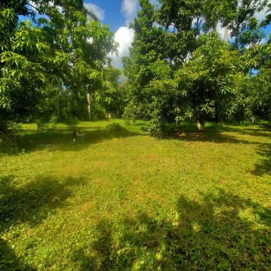 Venta de finca en la lisa me ajusto bastante - Img 107100513