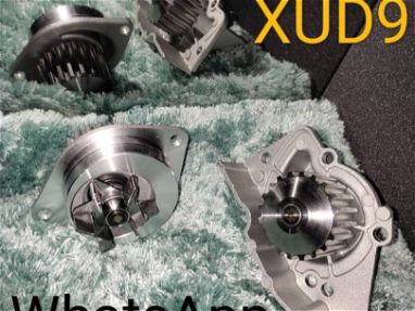 Piezas de Peugeot XUD9 y TUD5 - Img 37306896