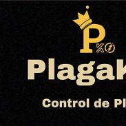 Servicios De Fumigación PlagaKØ - Img 45681598