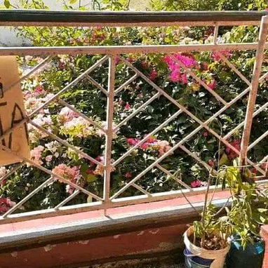 Venta de apto - Img 124911270