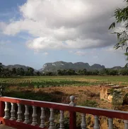 Hostal en viñales con enerador electrico y piscina. Servicios de comida y guia turístico - Img 49932598