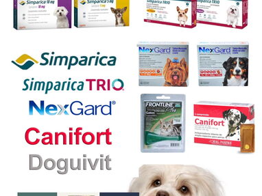 Medicamentos ORIGINALES para mascotas Simparica, Simparica TRIO, Antiparasitario interno, Multivitaminas y minerales - Img main-image