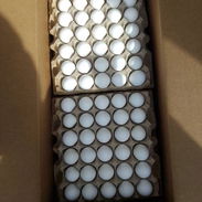 Venta de huevos - Img 56930596