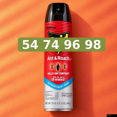 Raid spray para hormigas y cucarachas 17.5 oz - 2/3