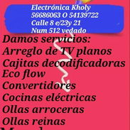 Reparamos tus electrodomésticos con eficiencia y seguridad - Img 55097879