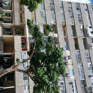 Casa en venta NUEVO VEDADO - Img 57589846