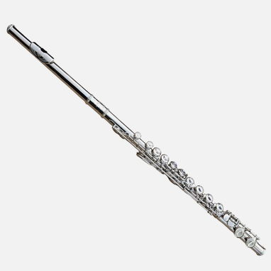 FLUTE-BANKRUPTCY SALE-NEW C STUDENT/INTERMEDIATE/PRO SILVER CONCERT BAND FLUTES - Img 121852223