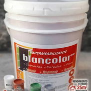 PINTURA IMPERMEABLE PARA TECHOS PISOS Y FACHADAS . - Img 57888092